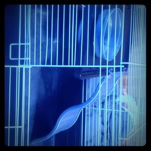 Hamster cage? 🤷🏼‍♀️